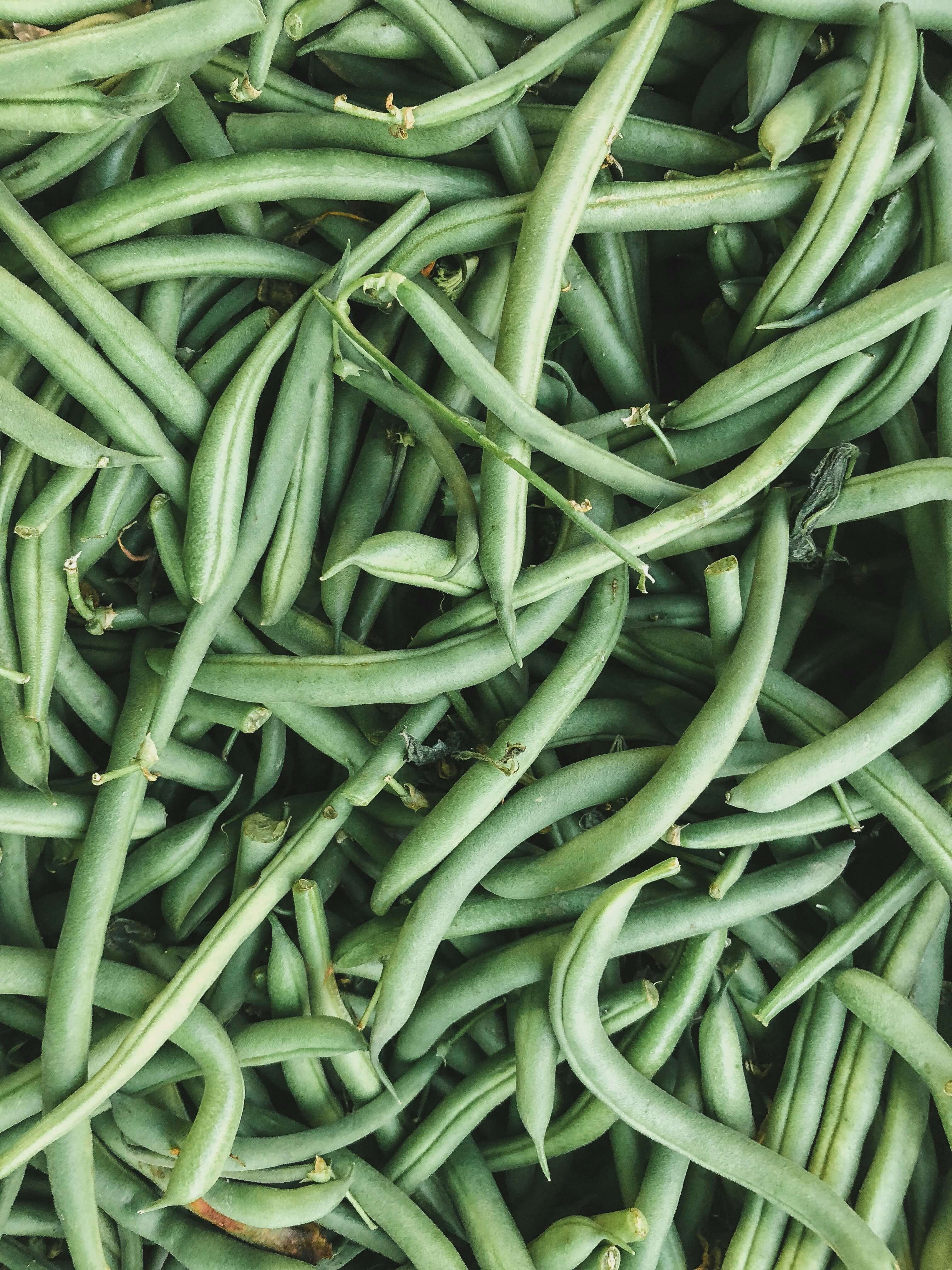 Bean Variety