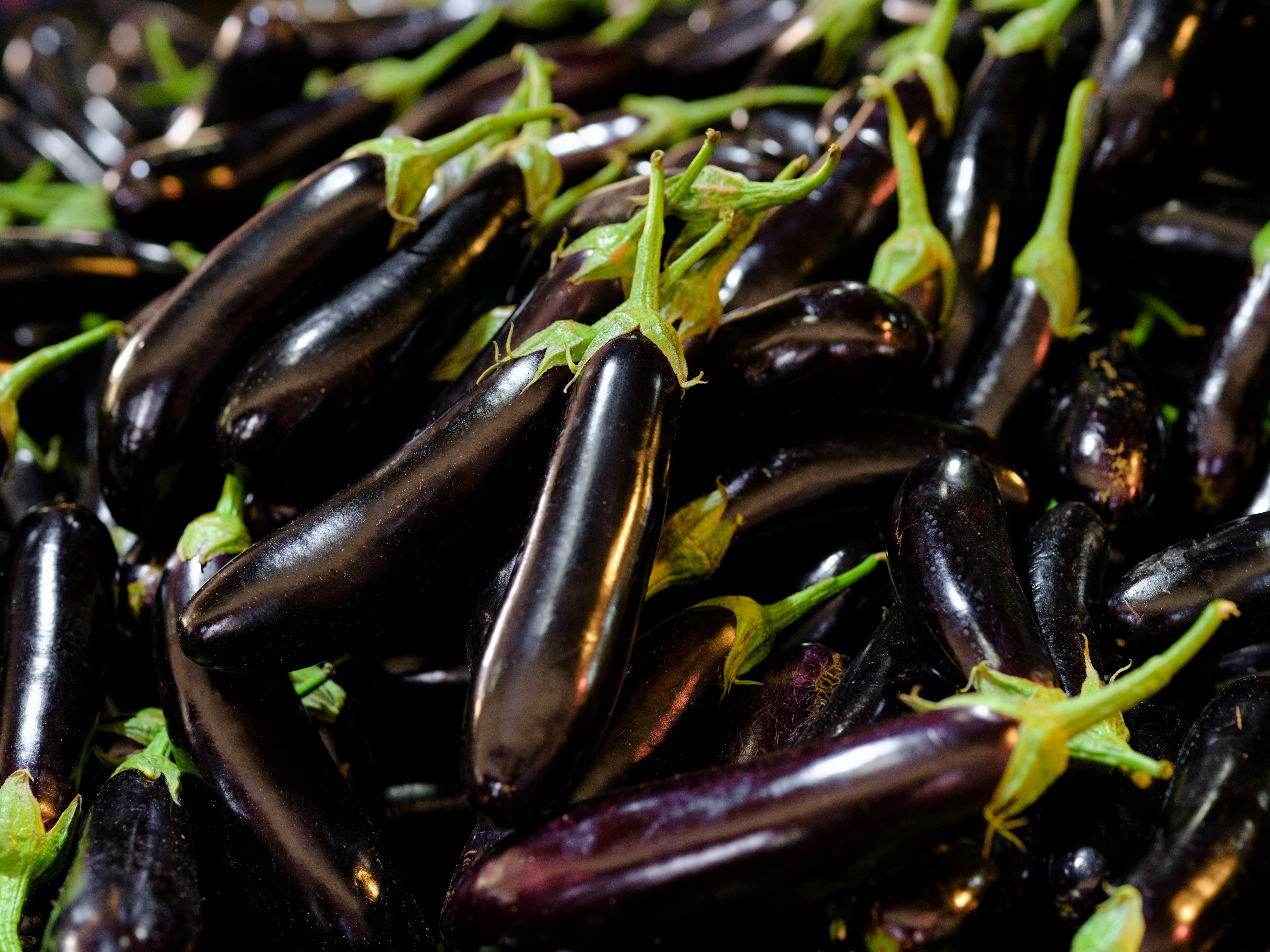 Organic Eggplant